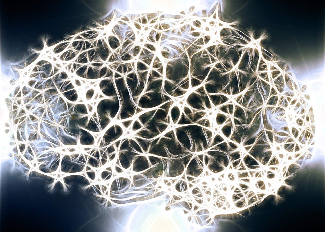 Neurones