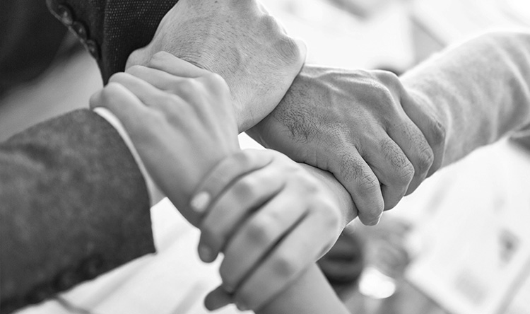 olena-blurb15-image3 Holding Hands B&W