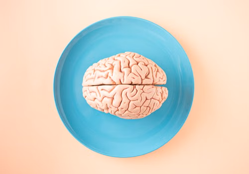Brain - Pink Pink Brain
